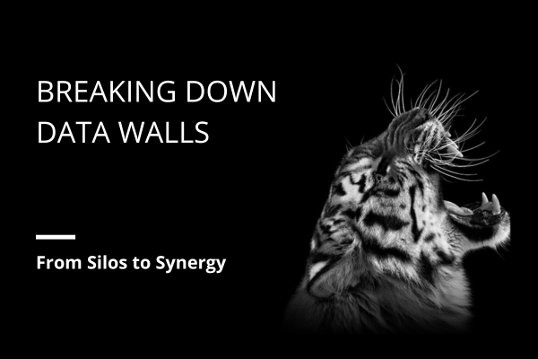 Breaking Down Data Walls: From Silos to Synergy