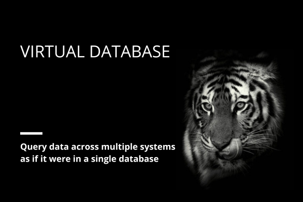 Virtual Database: Query data across multiple systems as if it were in a single database
